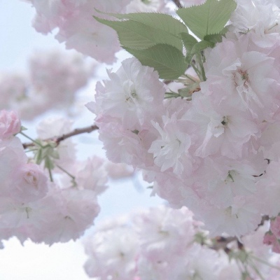 肃州FurryQQ群介绍